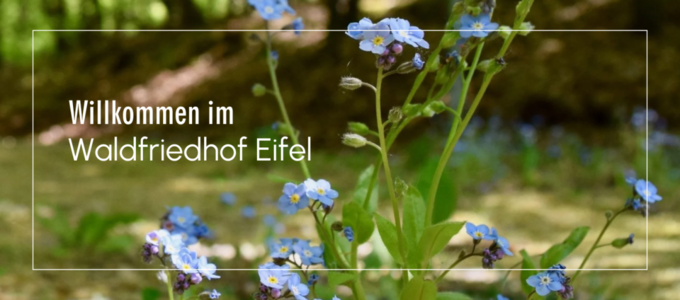 Willkommen im Waldfriedhof Eifel