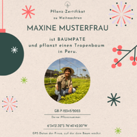 Zertifikat Weihnachten