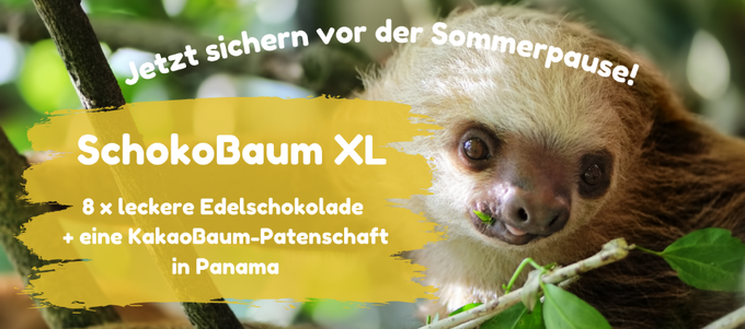 Nur noch für kurze Zeit: SchokoBaum XL