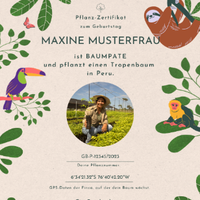 Zertifikat Kids
