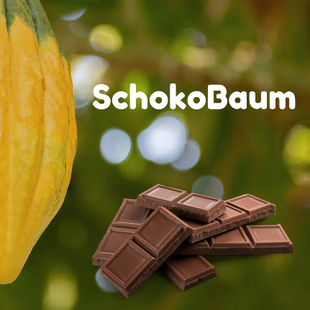 SchokoBaum