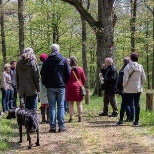 Waldführung im Waldfriedof Eifel