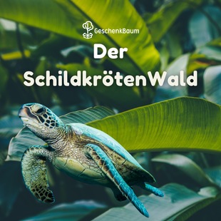 SchildkrötenWald