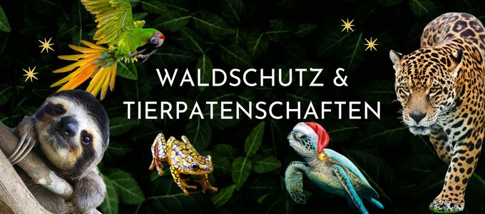 Neues aus Ihren Wäldern