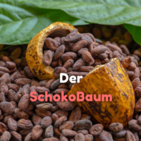 SchokoBaum
