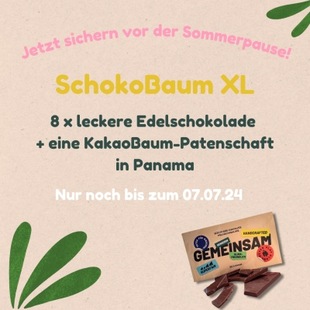 Noch vor der Sommerpause sichern: Der SchokoBaum-XL!