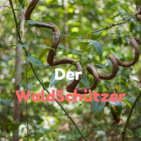 Waldschützer